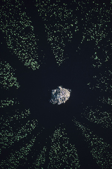 asteroids